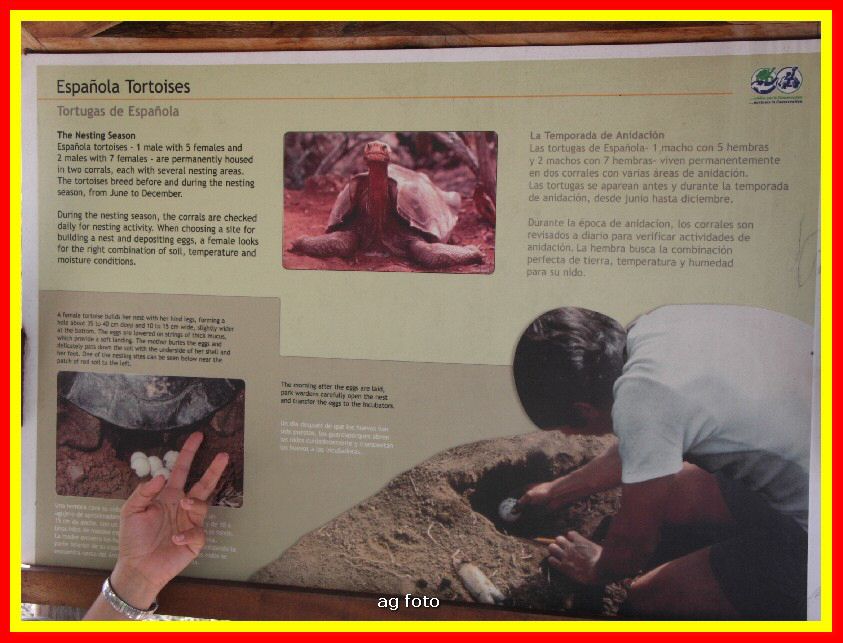 Ecuador 780_tn.jpg